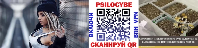 Галлюциногенные грибы Cubensis Купить Сычёвка